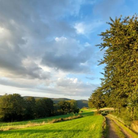 1716453113982 - C.Meyer