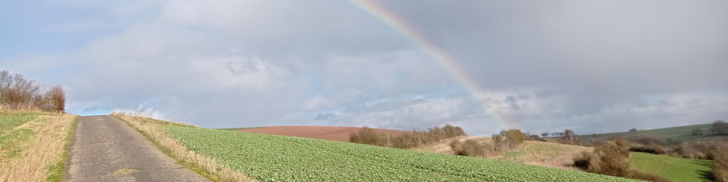 Aufwind spüren