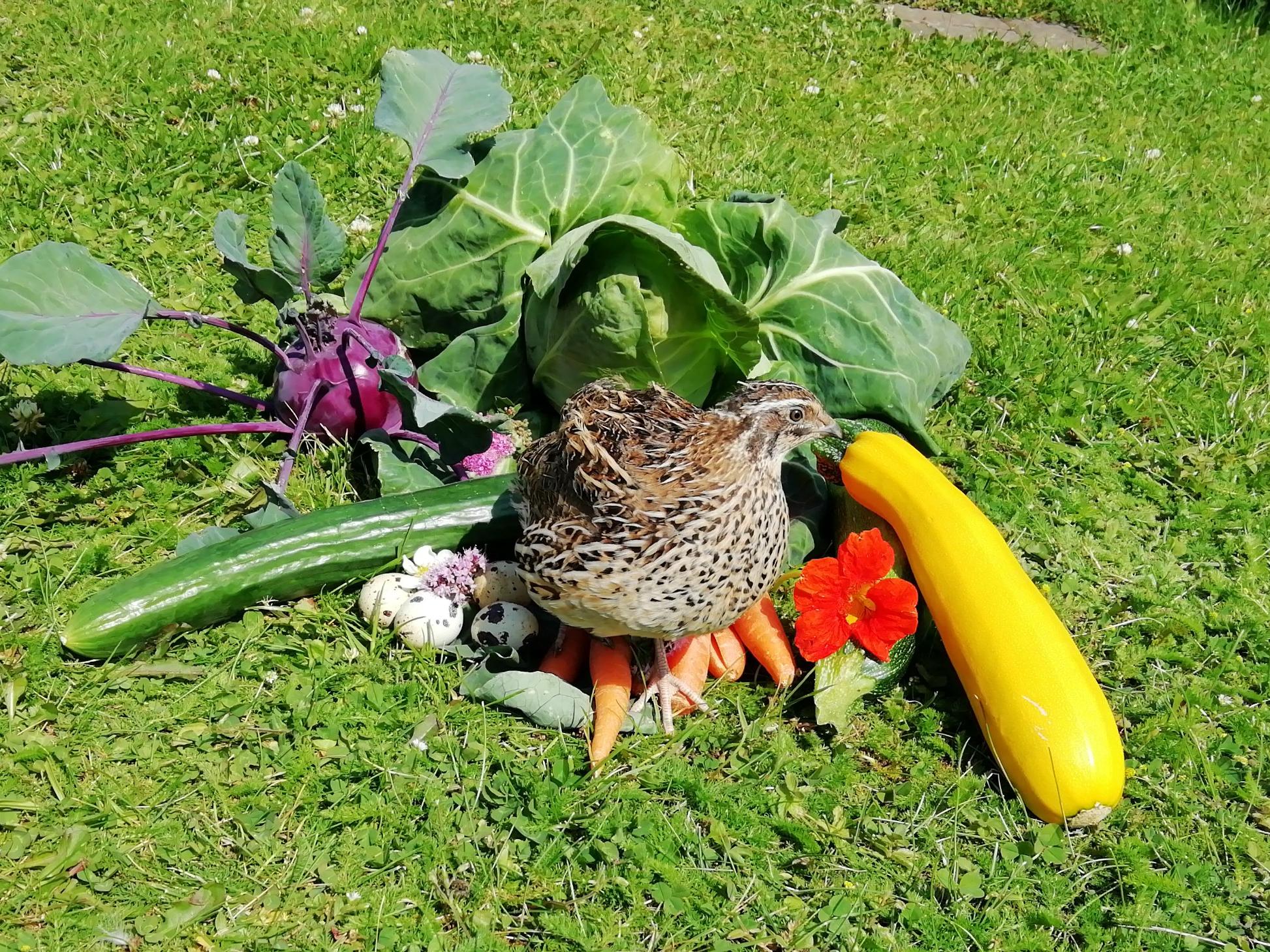 Erntedank