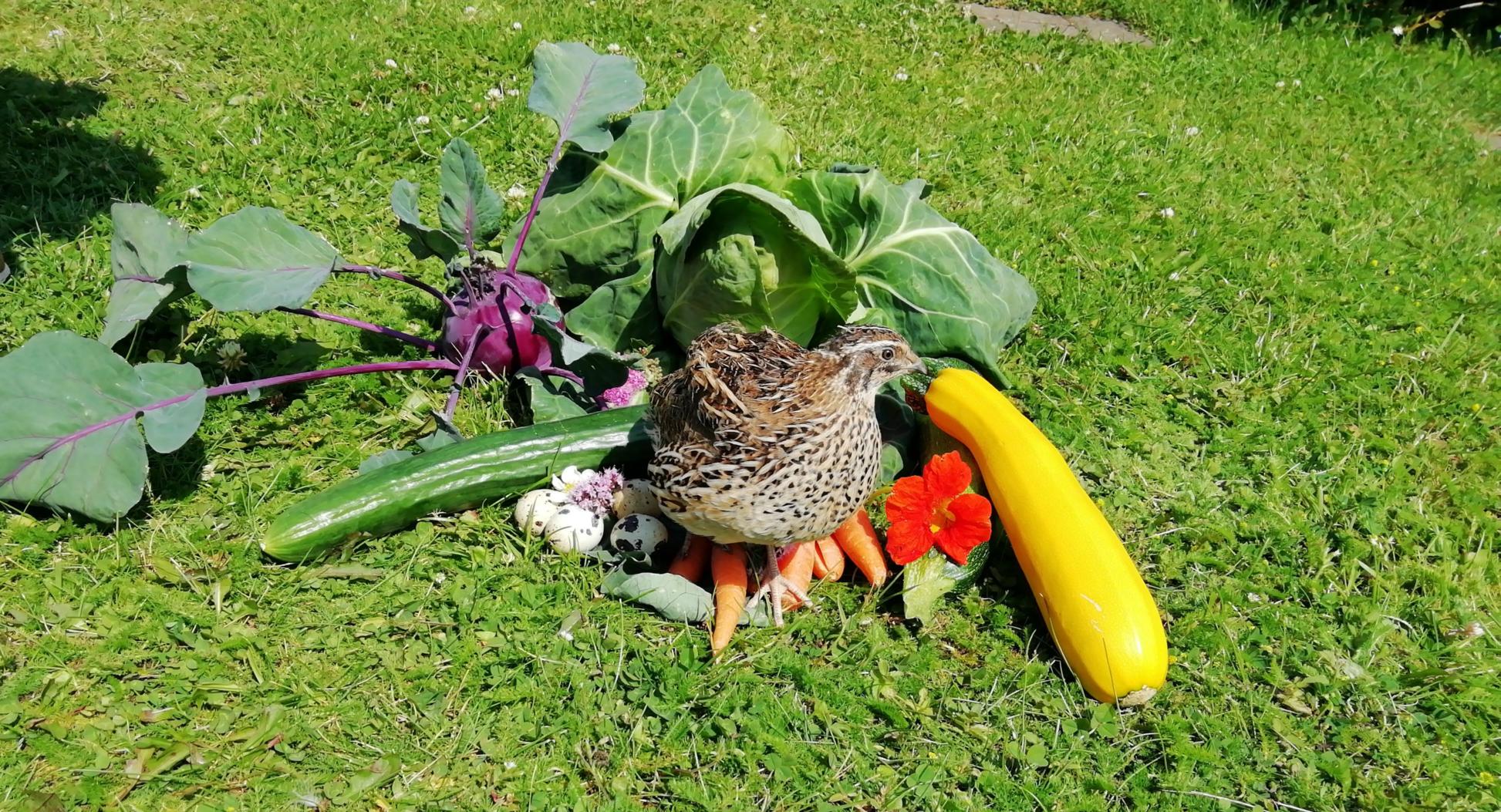 Erntedank