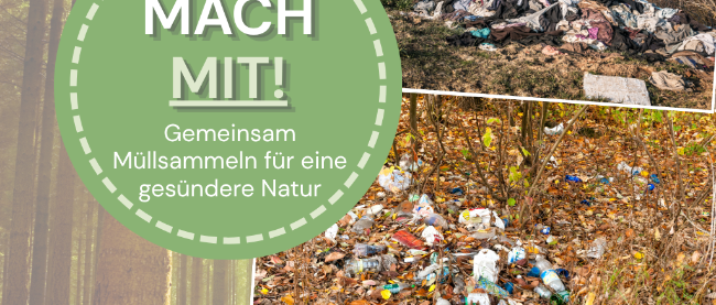 Projekttag Schöpfungsverantwortung (c) © Fachbereich Kirchliche Jugendarbeit Düren/Eifel Projekttag Schöpfungsverantwortung