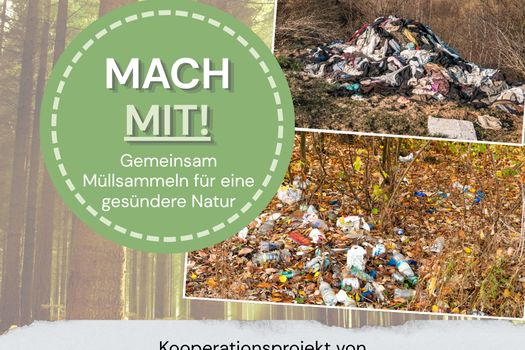 Projekttag Schöpfungsverantwortung