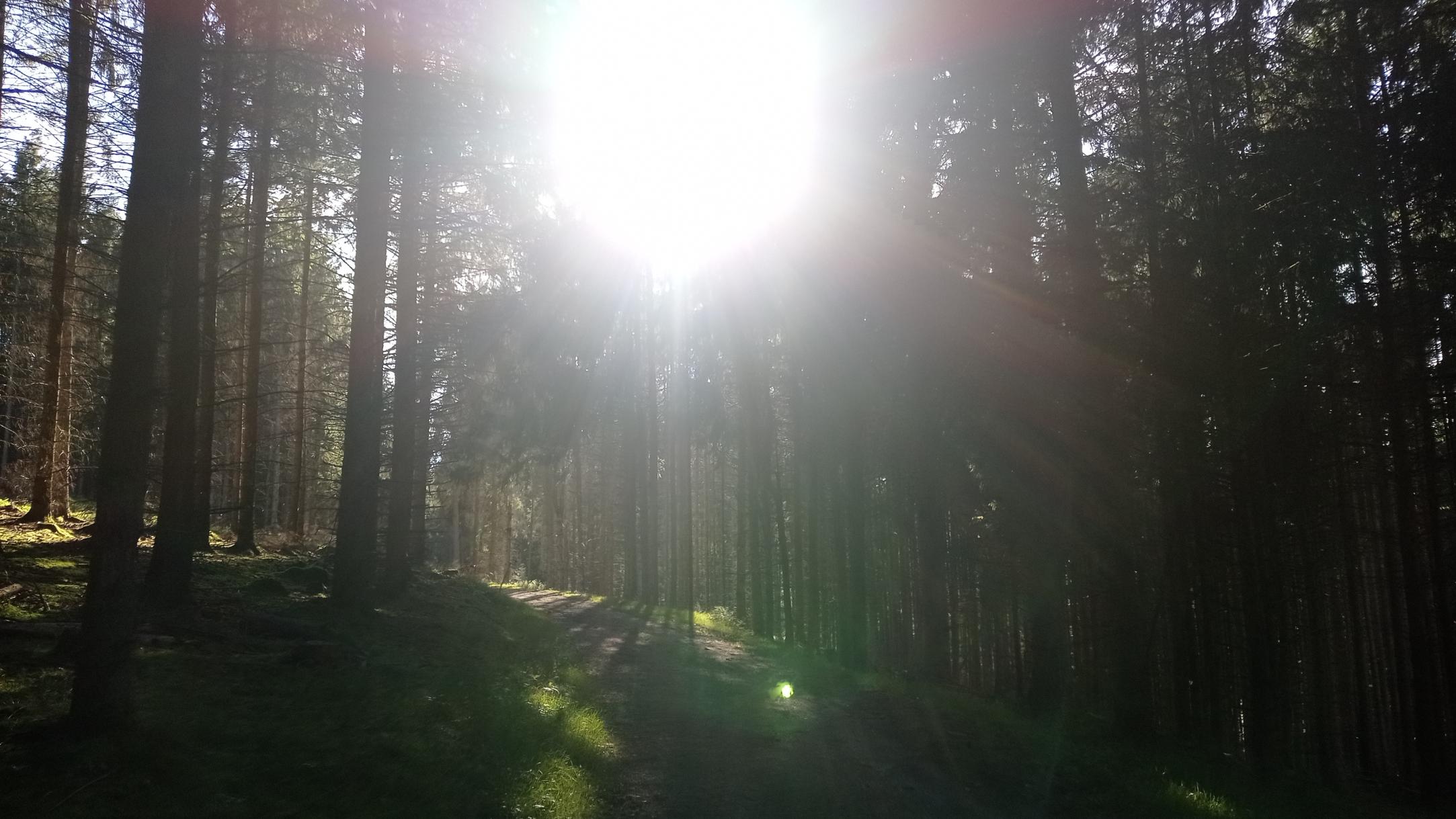 Tageswanderung, WE Schöpfungsspiritualität