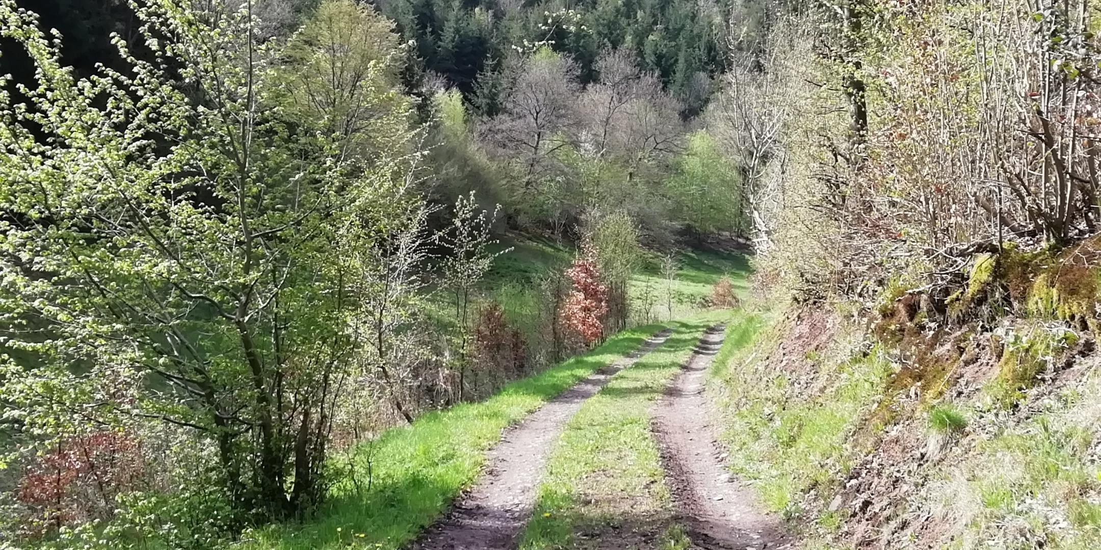 Tageswanderung