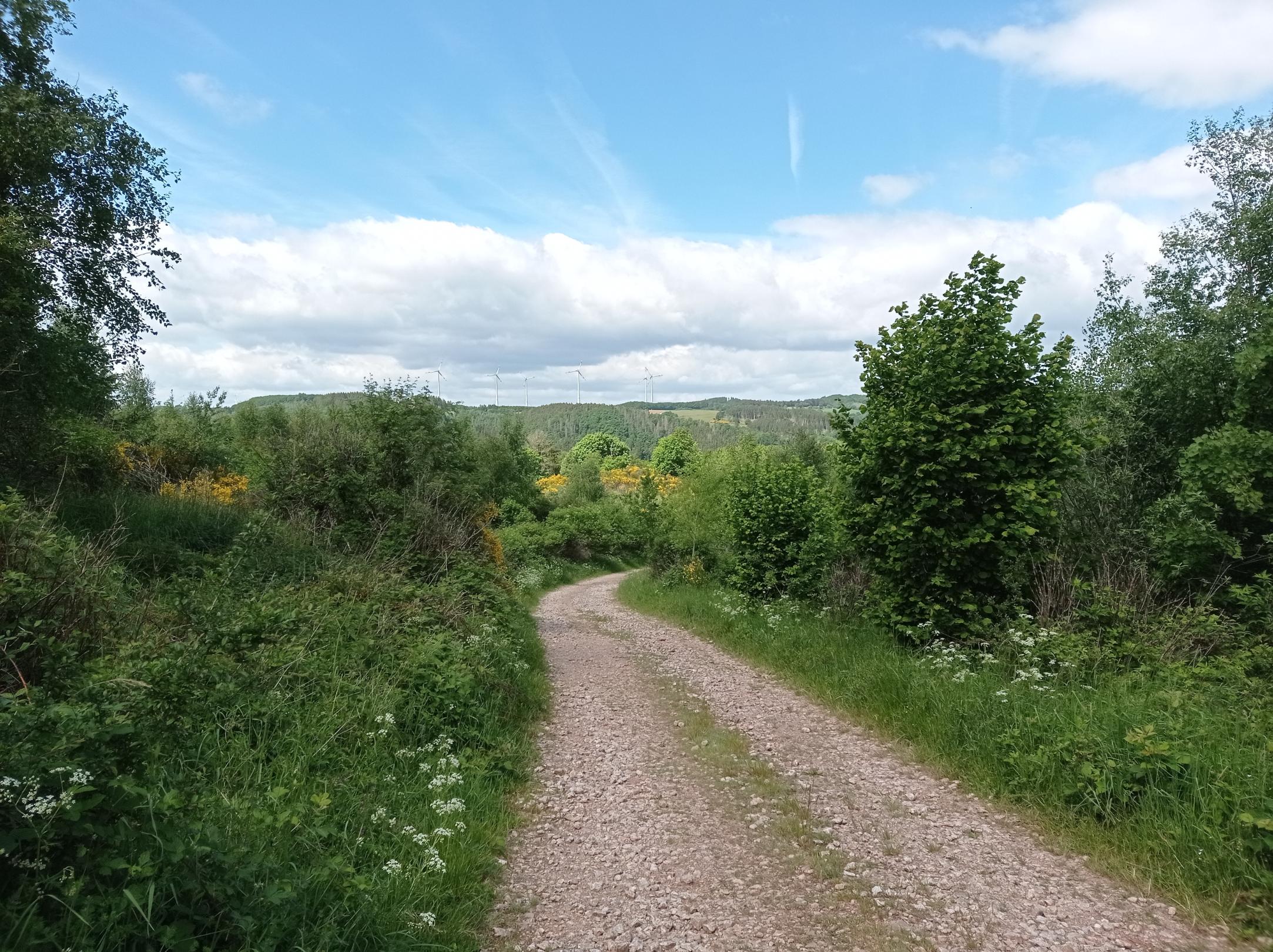 Weg, Natur, Eifel