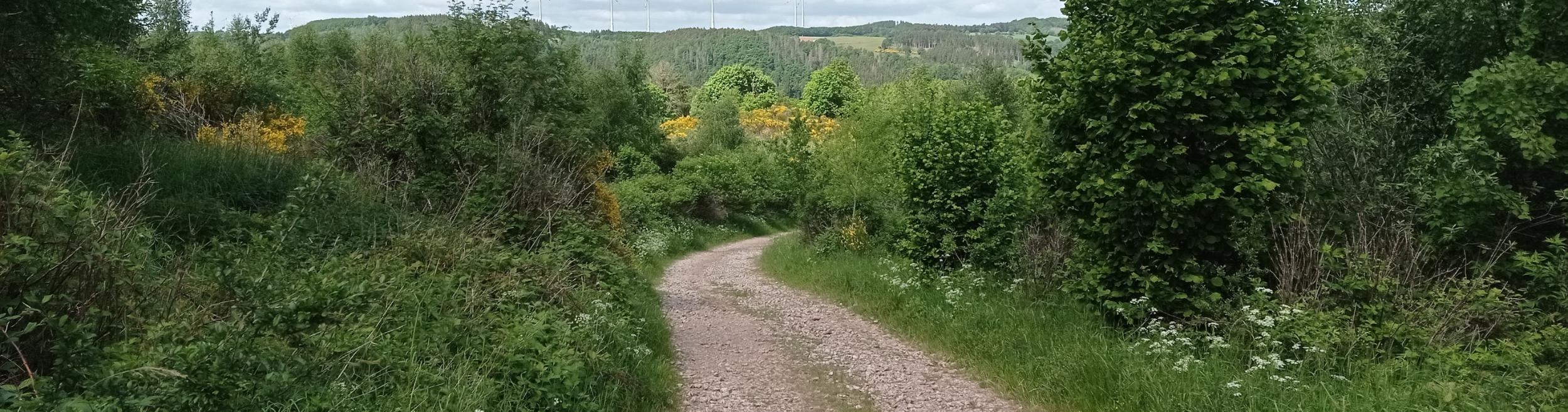 Nationalpark Eifel