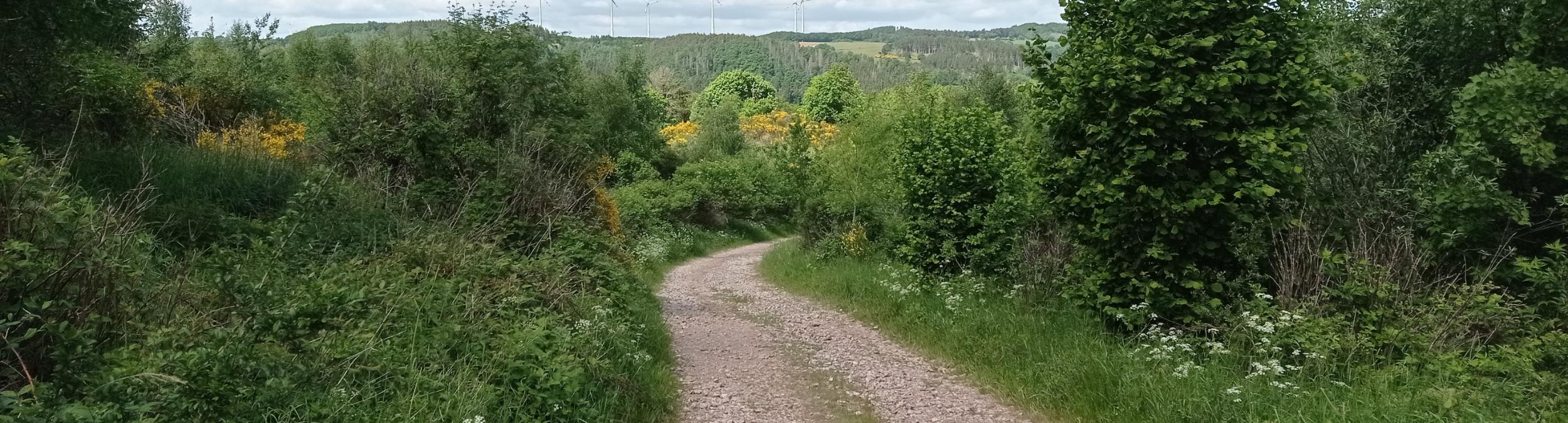 Nationalpark Eifel