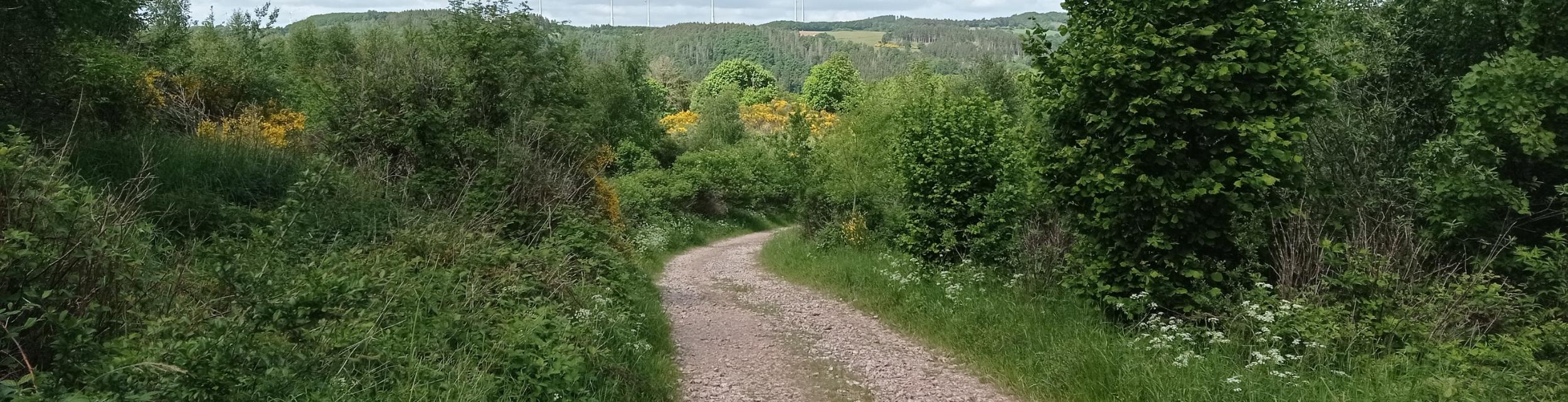 Nationalpark Eifel