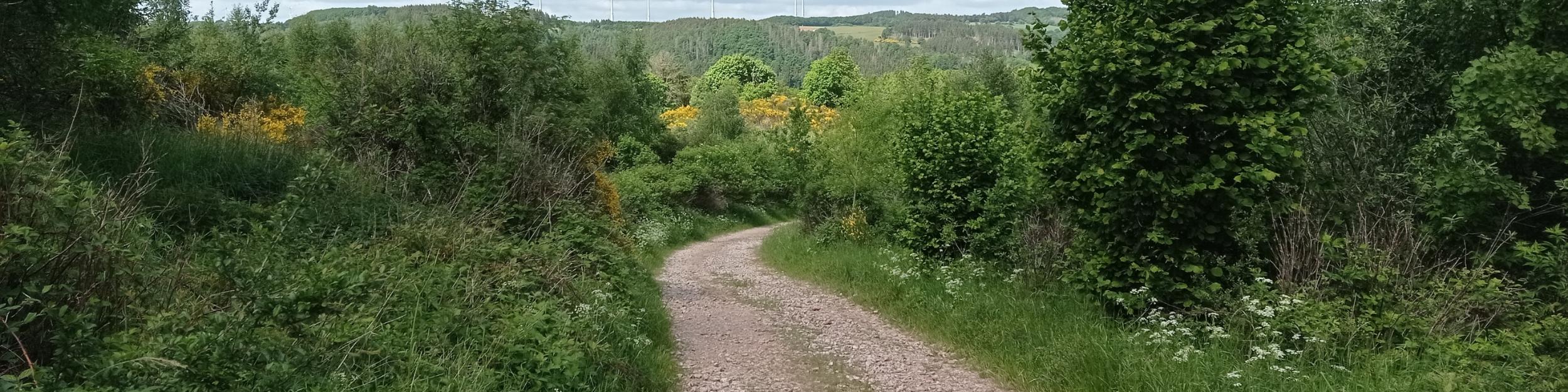 Nationalpark Eifel