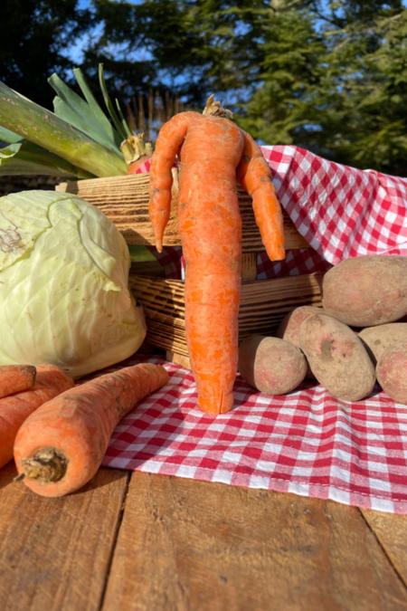 Ernte Dank & Aufbrechen